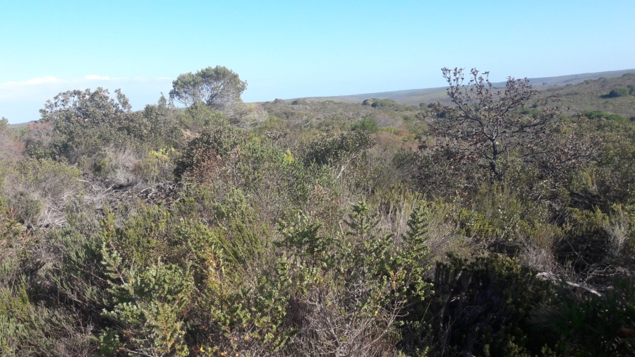 1 Bedroom Property for Sale in Riversdale Rural Western Cape